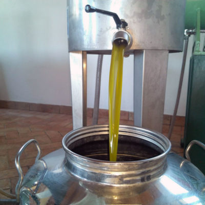 fattoria didattica siena