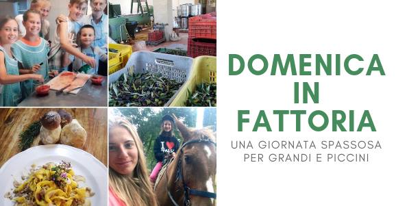 Domenica 4 novembre si fa festa alla Casa delle Olive!