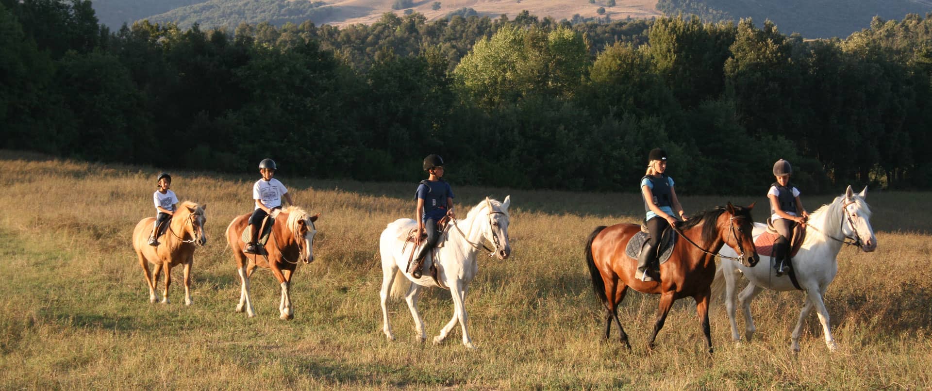 Agriturismo Con Cavalli In Toscana Passeggiate A Cavallo